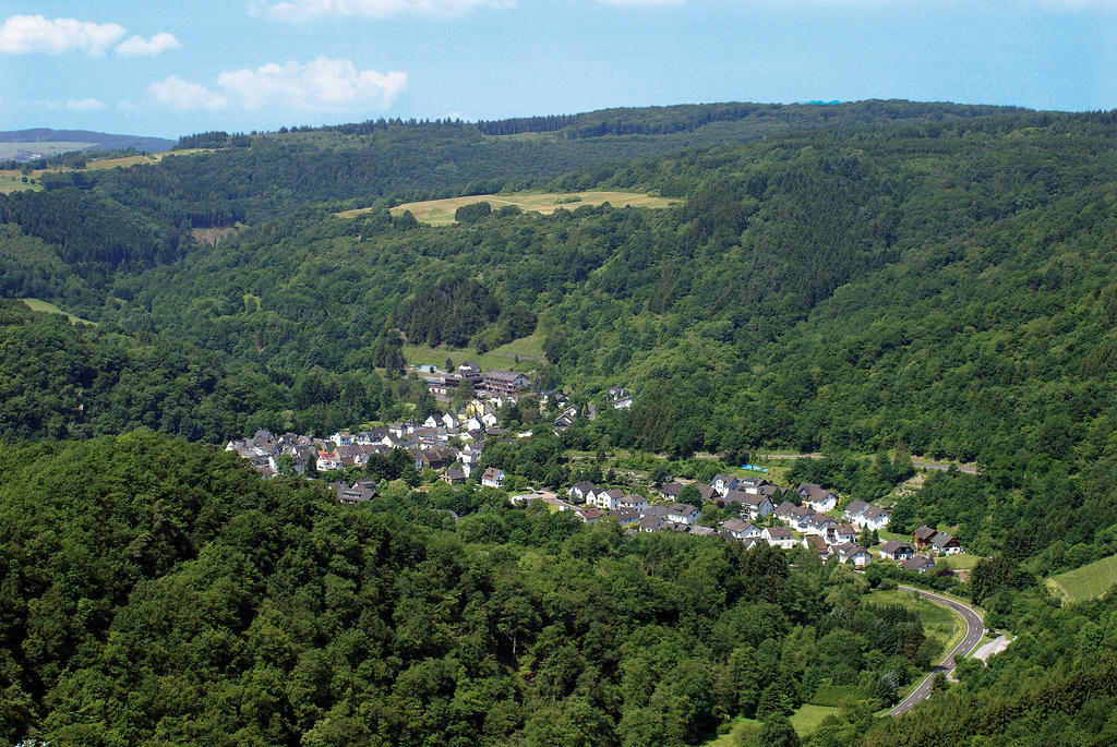 Landhotel Weinhaus Treis Weinaehr Bagian luar foto