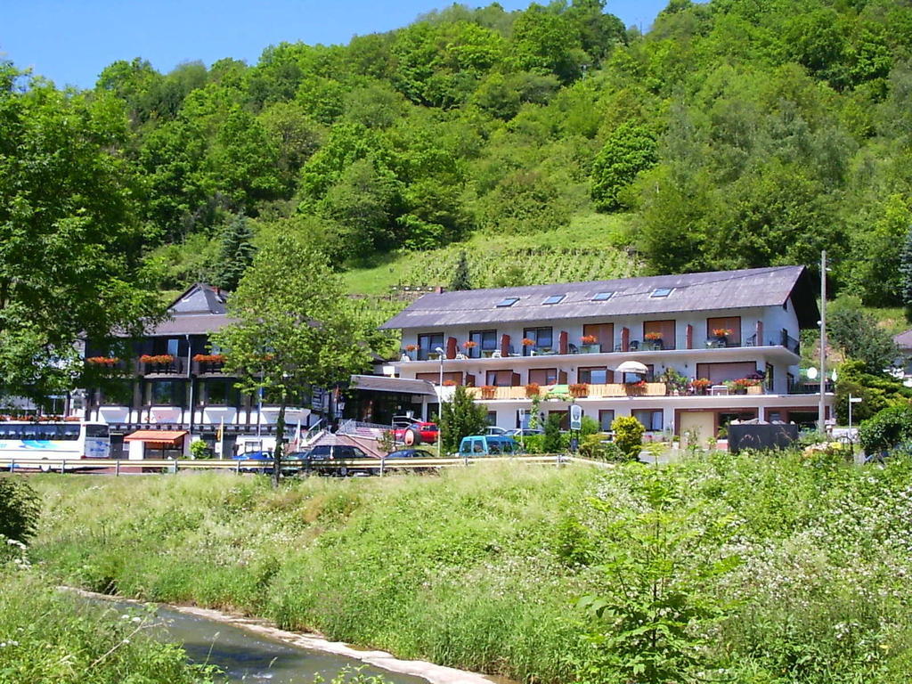 Landhotel Weinhaus Treis Weinaehr Bagian luar foto